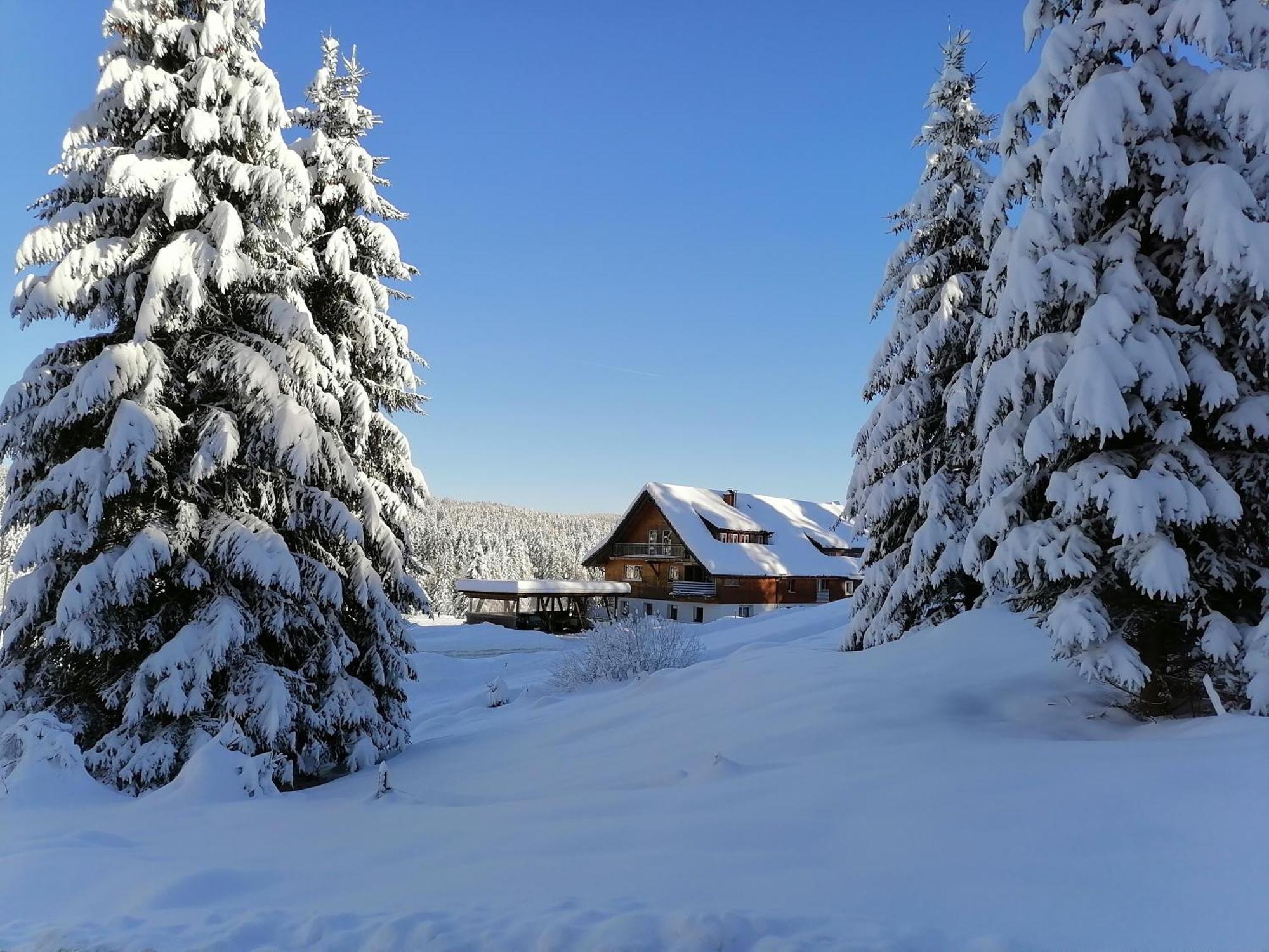 Ferienwohnung Heustueble Hinterzarten Zewnętrze zdjęcie